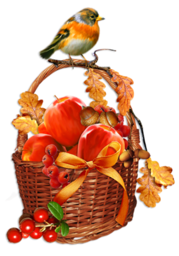 őszi állatok_66.png